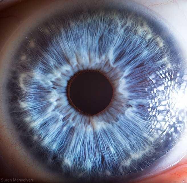 Are blue-eyed people more likely to find other blue-eyed people attractive?