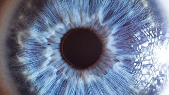 Are blue-eyed people more likely to find other blue-eyed people attractive?