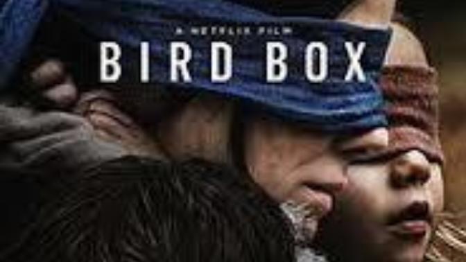 Anyone else watch Bird Box? What did you think about it?