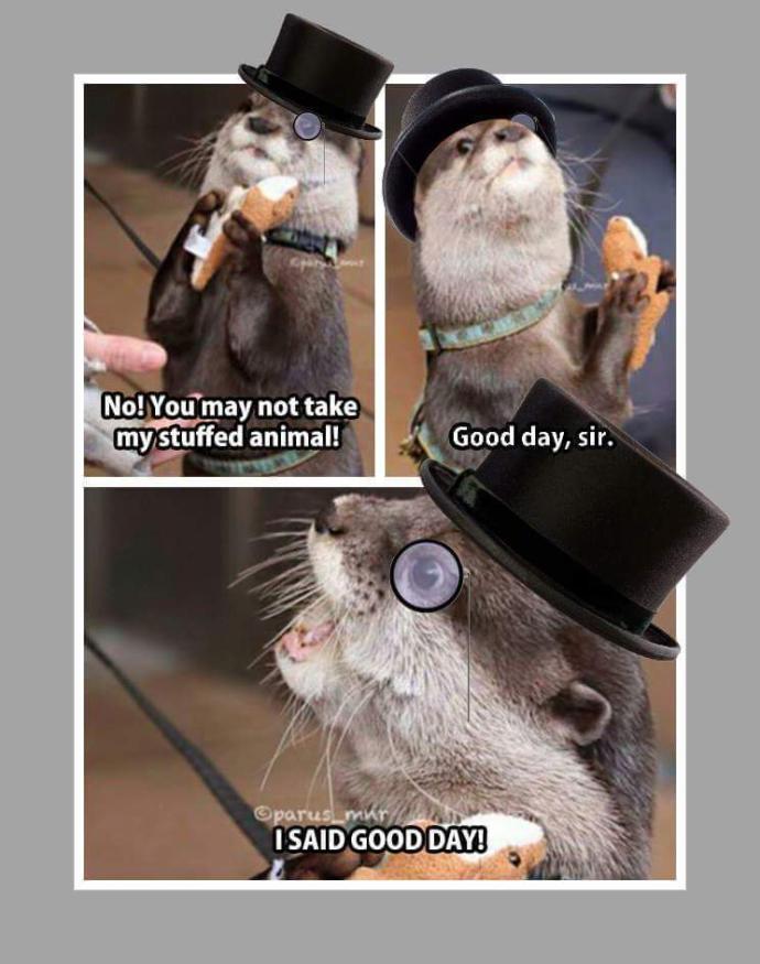 Would you still try to take this stuffed animal from the otter after this?
