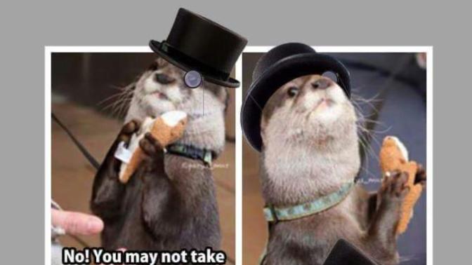 Would you still try to take this stuffed animal from the otter after this?