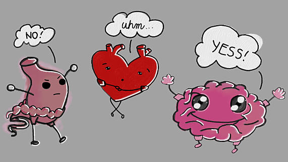 Do you usually follow your heart, mind or gut?