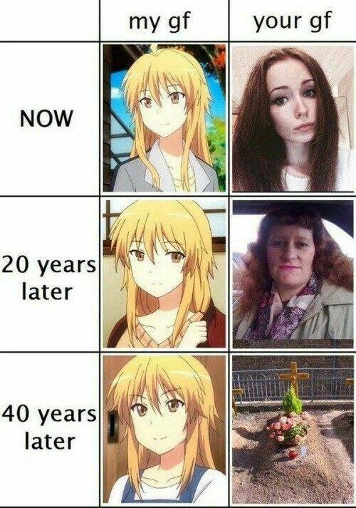 Is having a 2D girlfriend better than a 3D girlfriend?
