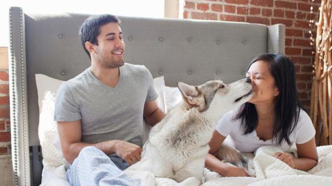 Ladies! What's your ideal relationship?