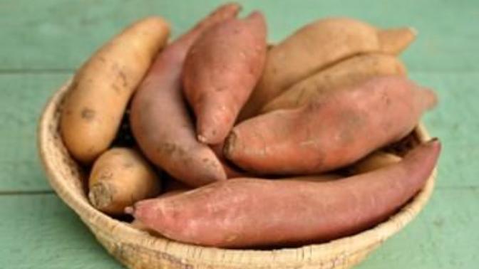 Do you like kumara (sweet potato)?