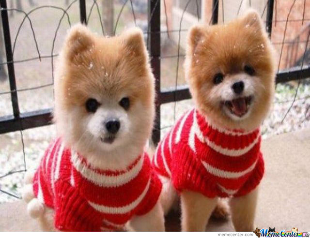 Guys, what do you think of cropped tops on girls?