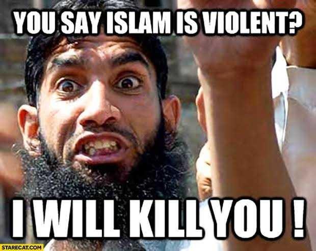 Should politically incorrect memes get banned?