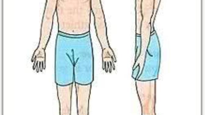 What is your body type?