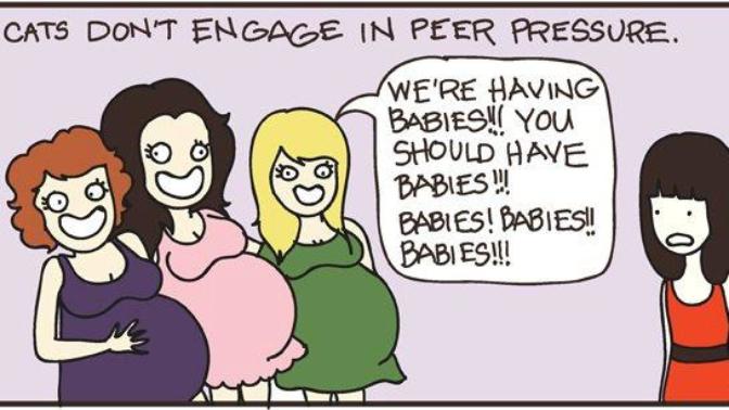 Do all women want the same thing?