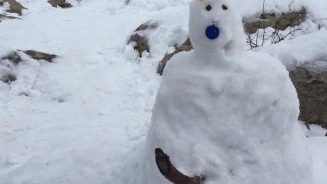 Rate my snowman?