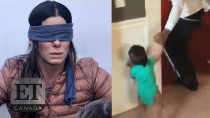 How stupid are people. why is everyone doing this birdbox challenge?
