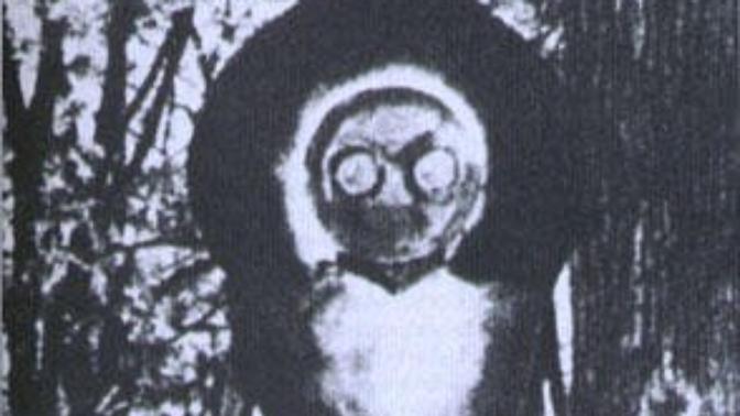 What's your favorite cryptid from the Northeast US?