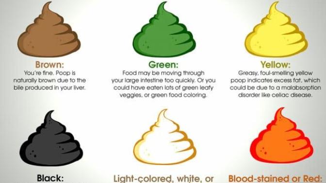What shade is your last poop?