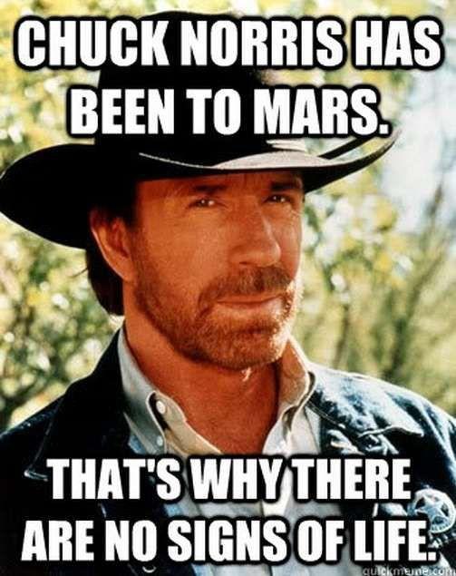 How do you feel about Chuck Norris jokes?