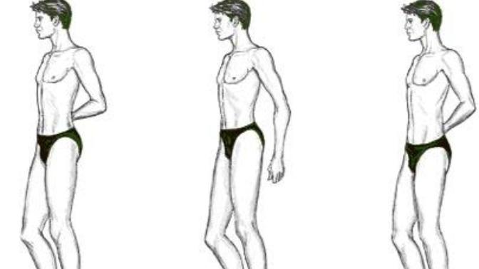 What are your thoughts on a man who's upper body is longer than his lower body?