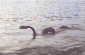 What is your favorite cryptid from the Midwestern US?