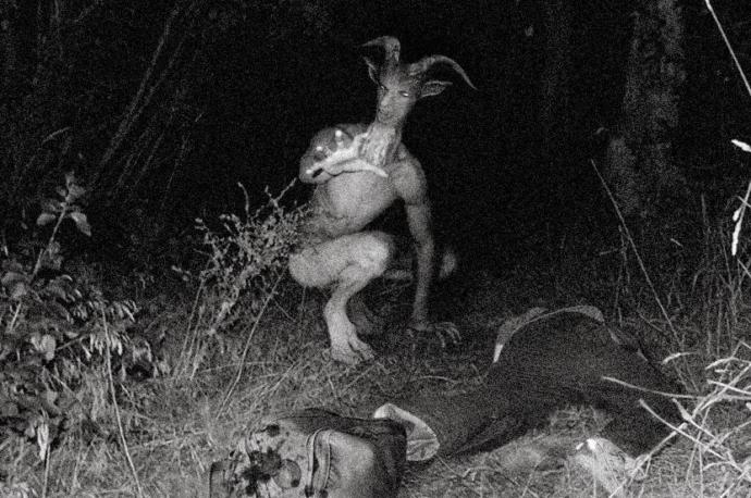 What is your favorite cryptid from the Midwestern US?