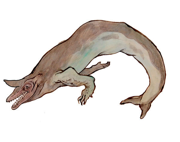 What is your favorite cryptid from the Midwestern US?