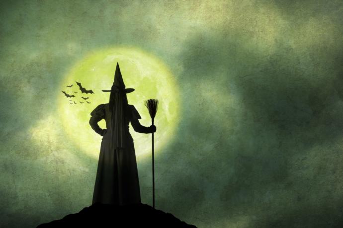 If you could be a witch or vampire what would you be?