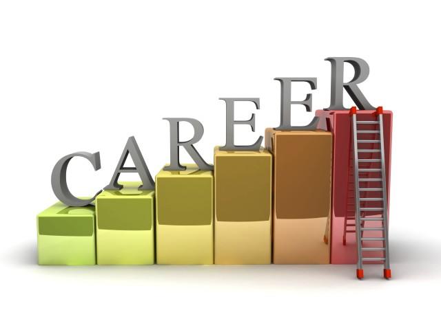 What are your future career goals?