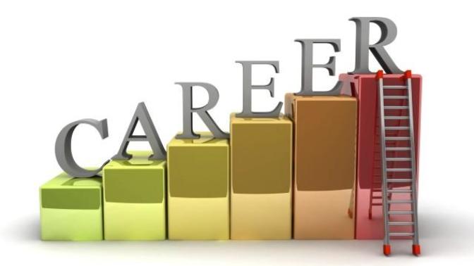 What are your future career goals?
