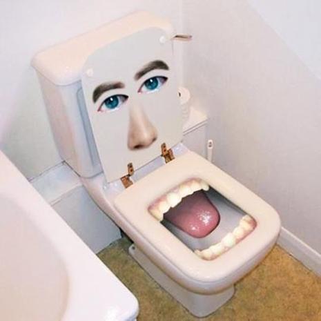What is a "Human toilet "?
