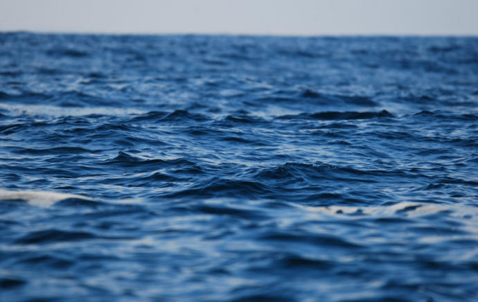 What part of the oceans do you think is the most interesting?