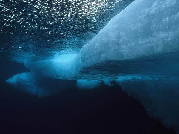 What part of the oceans do you think is the most interesting?