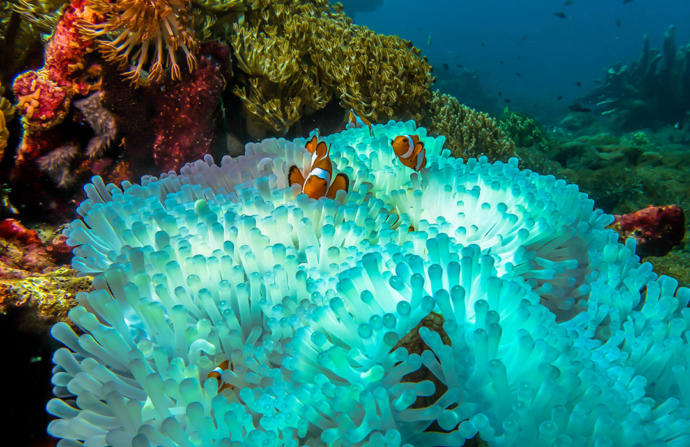 What part of the oceans do you think is the most interesting?