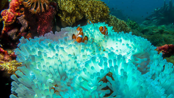 What part of the oceans do you think is the most interesting?