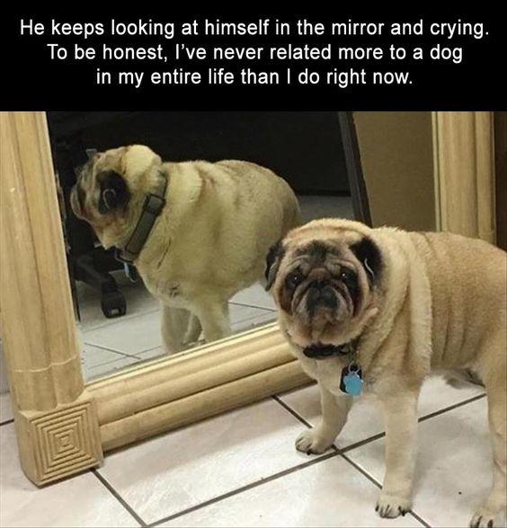 How Often Do You Admire Yourself?