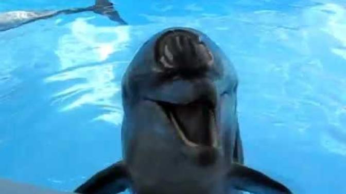Go on a swim date with a 50 yr old, would you pay?