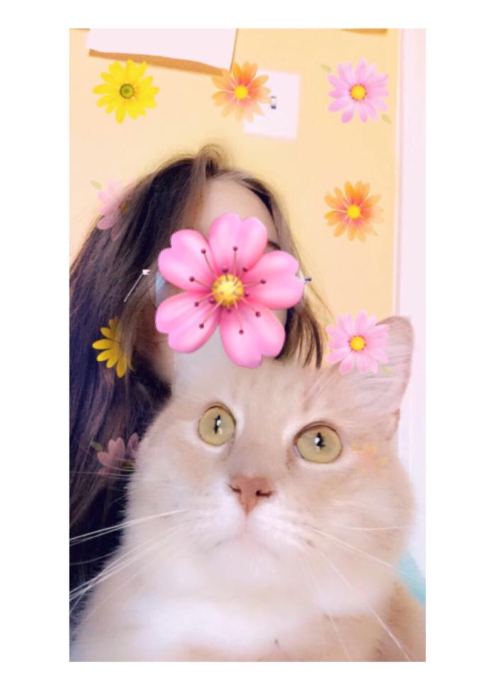 Why Does My Cat Continuously Want To Touch Me?