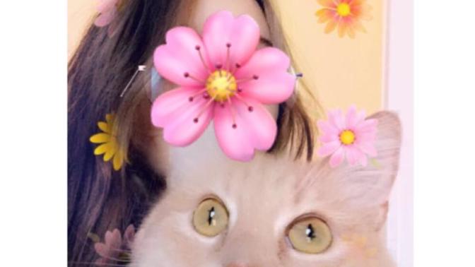 Why Does My Cat Continuously Want To Touch Me?