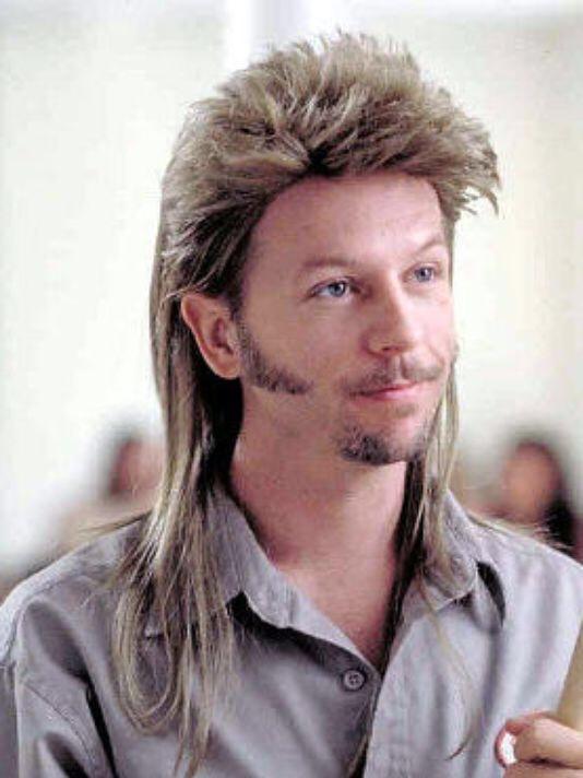 Mullet or crude cut?