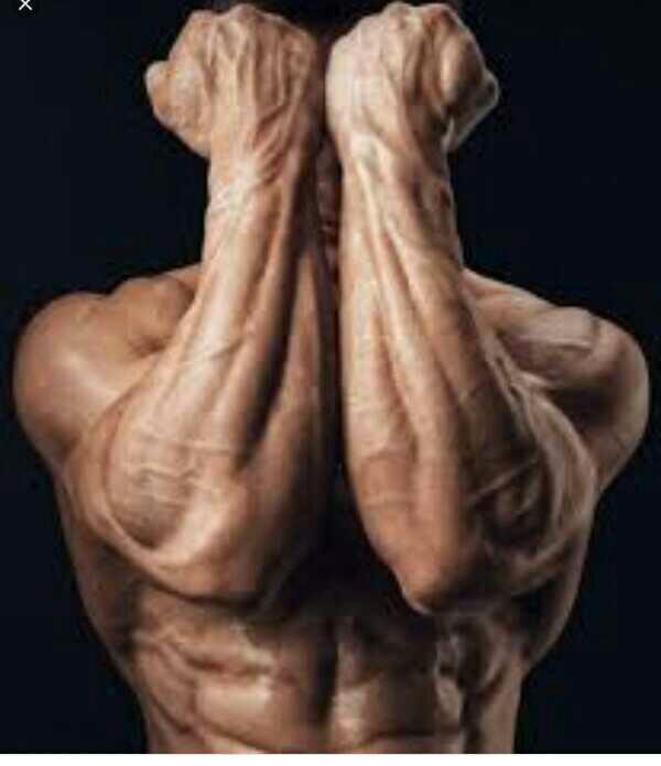 Which muscle / muscle groups are hottest ??