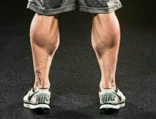 Which muscle / muscle groups are hottest ??