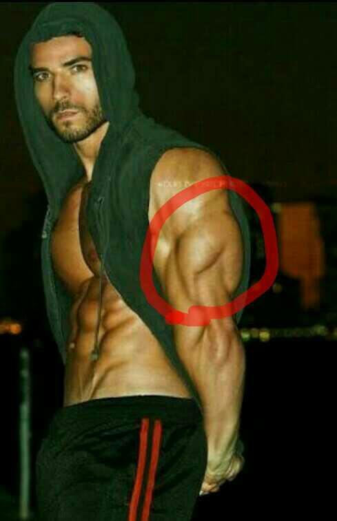 Which muscle / muscle groups are hottest ??