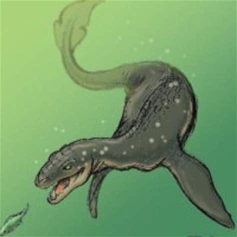 What's your favorite cryptid from the Southern US?