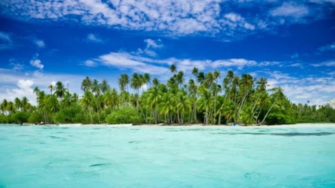 What would you do if you were one among 524 passengers on a flight that got stranded on a mysterious tropical island?