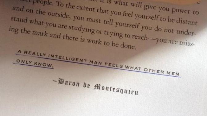 What is your interpretation of this quote?