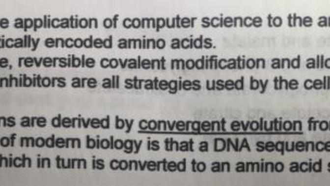 Which of the following statements is incorrect?