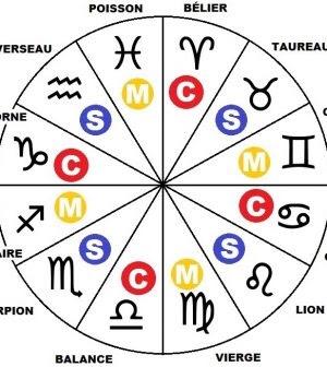Do you believe that you fit your zodiac sign?