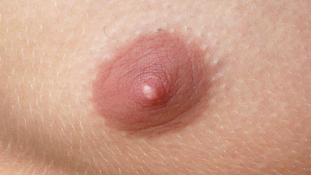 Is one of these a female nipple?