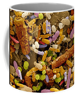 Would you ever drink coffee, from this coffee mug?