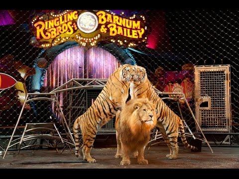 Can anyone explain why the Barnum & Bailey/Ringling Brothers Circus has been ran out of existence?