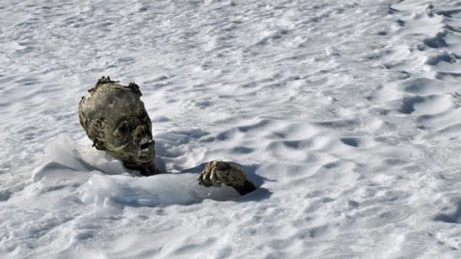How would you react if you see an actual dead body in real life for the first time?