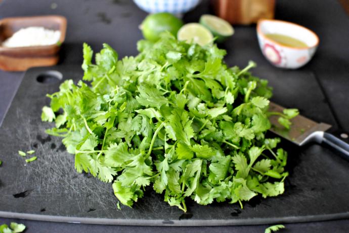 A pile of cilantro/coriander leaves.
