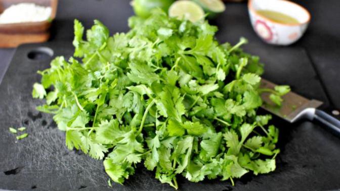 Do you like Cilantro aka Coriander Leaves?