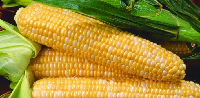 Do you like sweet corn?